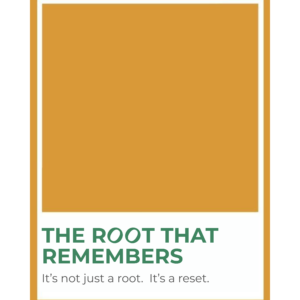 GeneGlow Adaptogenic Latte Blend (Copy) (Copy) (Copy)